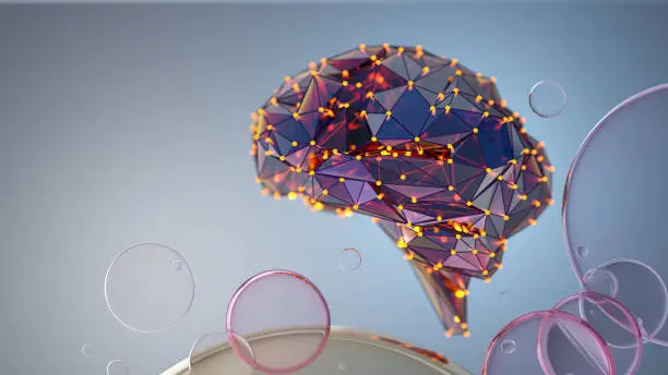 Rat Hippocampus/thalam/ hypothalam Frozen Coronal Sections Reg.8 - 10 slides