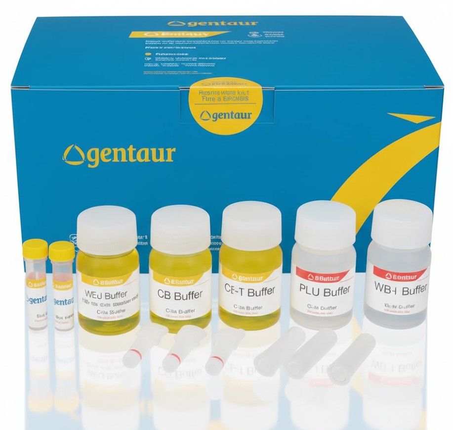 BRAF V600E Genotpying Reagents